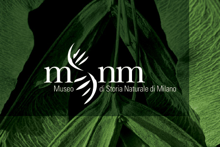 Milan's Natural History Museum